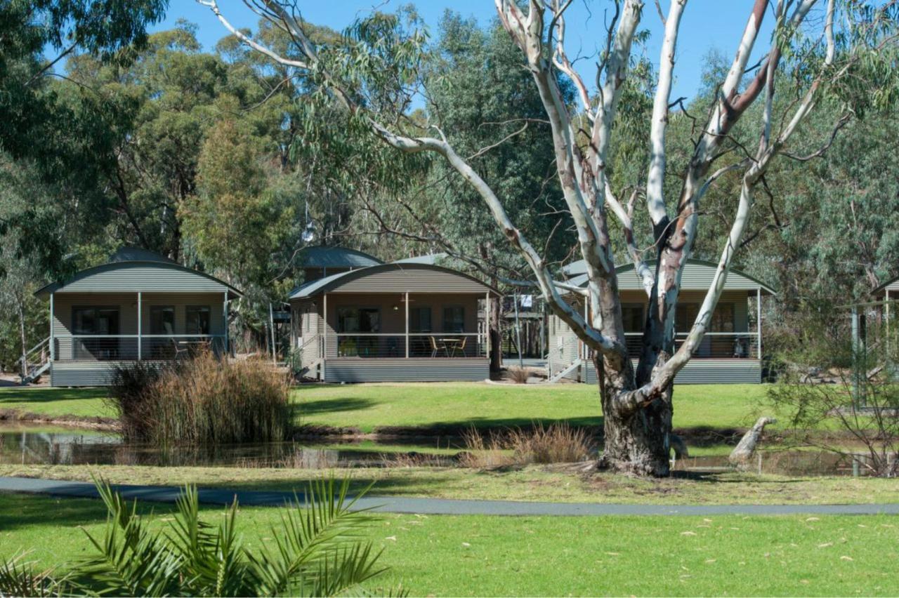 Tasman Holiday Parks - Moama On The Murray מראה חיצוני תמונה